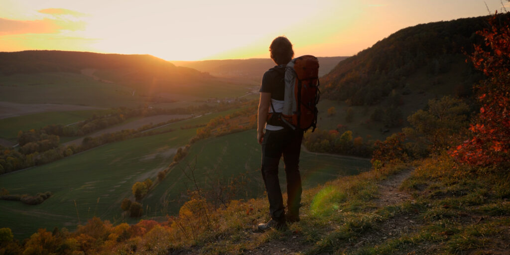 Filmaoutor David Cebulla Die Rückkehr der Wildkatze