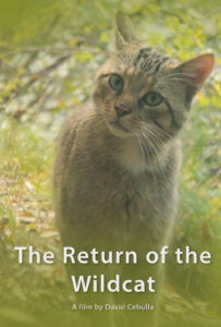 Filmposter_return-of-the-wildcat-1080x1600